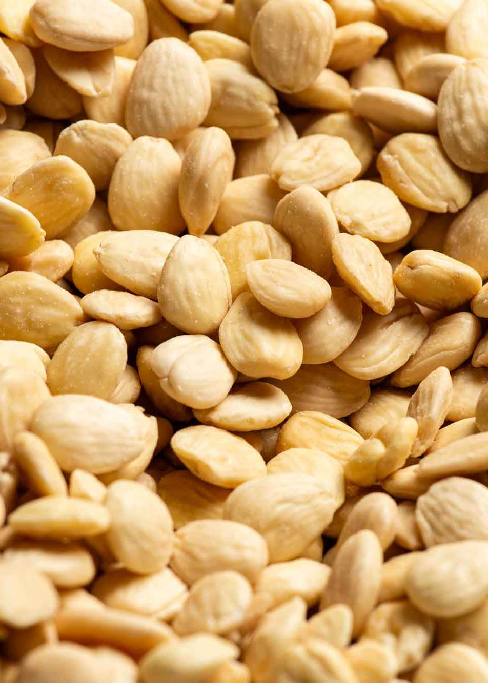 Peeled Marcona almonds in bulk
